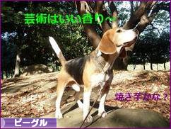 にほんブログ村 犬ブログ ビーグルへ