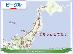 にほんブログ村 犬ブログ ビーグルへ