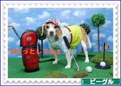にほんブログ村 犬ブログ ビーグルへ