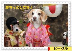 にほんブログ村 犬ブログ ビーグルへ