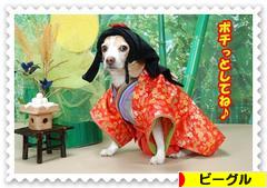 にほんブログ村 犬ブログ ビーグルへ