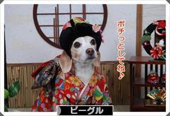 にほんブログ村 犬ブログ ビーグルへ