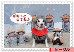 にほんブログ村 犬ブログ ビーグルへ