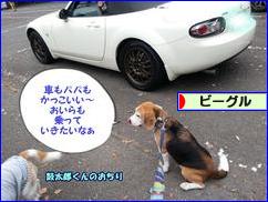 にほんブログ村 犬ブログ ビーグルへ