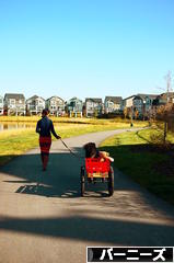 にほんブログ村 犬ブログ バーニーズマウンテンドッグへ
