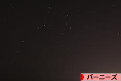 にほんブログ村 犬ブログ バーニーズマウンテンドッグへ