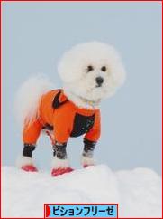 にほんブログ村 犬ブログ ビションフリーゼへ