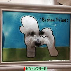 にほんブログ村 犬ブログ ビションフリーゼへ