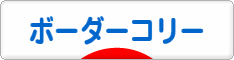 にほんブログ村 犬ブログ ボーダーコリーへ