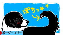 にほんブログ村 犬ブログ ボーダーコリーへ