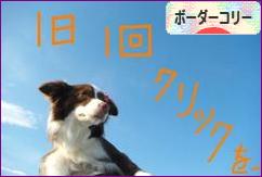 にほんブログ村 犬ブログ ボーダーコリーへ