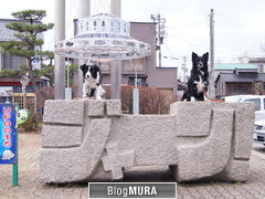 にほんブログ村 犬ブログ ボーダーコリーへ