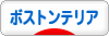 にほんブログ村 犬ブログ ボストンテリアへ