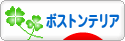 にほんブログ村 犬ブログ ボストンテリアへ