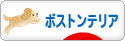 にほんブログ村 犬ブログ ボストンテリアへ