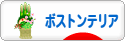 にほんブログ村 犬ブログ ボストンテリアへ