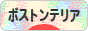 にほんブログ村 犬ブログ ボストンテリアへ