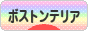にほんブログ村 犬ブログ ボストンテリアへ
