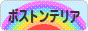 にほんブログ村 犬ブログ ボストンテリアへ