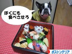 にほんブログ村 犬ブログ ボストンテリアへ
