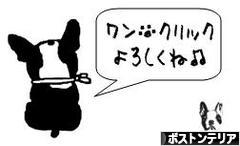 にほんブログ村 犬ブログ ボストンテリアへ