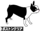 にほんブログ村 犬ブログ ボストンテリアへ