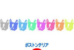 にほんブログ村 犬ブログ ボストンテリアへ