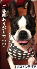 蚊でアナフィラキシーショック てけてけあるく