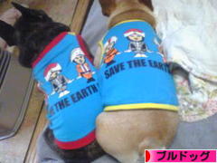 にほんブログ村 犬ブログ ブルドッグへ