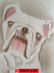 にほんブログ村 犬ブログ ブルドッグへ