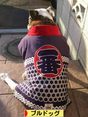 にほんブログ村 犬ブログ ブルドッグへ