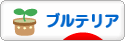にほんブログ村 犬ブログ ブルテリアへ