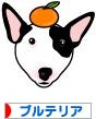 にほんブログ村 犬ブログ ブルテリアへ