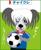にほんブログ村 犬ブログ チャイニーズクレステッドドッグへ