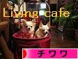 にほんブログ村 犬ブログ チワワへ