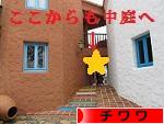 にほんブログ村 犬ブログ チワワへ