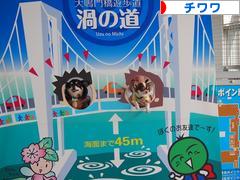 にほんブログ村 犬ブログ チワワへ