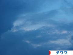 にほんブログ村 犬ブログ チワワへ