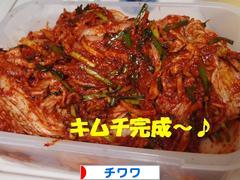 にほんブログ村 犬ブログ チワワへ