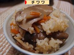 にほんブログ村 犬ブログ チワワへ