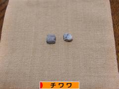 にほんブログ村 犬ブログ チワワへ