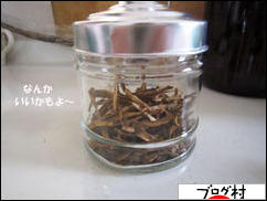 にほんブログ村 犬ブログ チワワへ