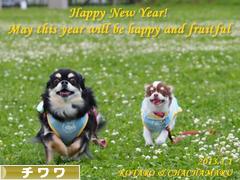 にほんブログ村 犬ブログ チワワへ