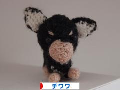 にほんブログ村 犬ブログ チワワへ