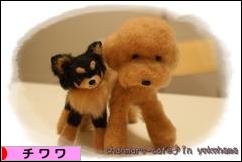 にほんブログ村 犬ブログ チワワへ