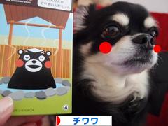 にほんブログ村 犬ブログ チワワへ