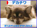 にほんブログ村 犬ブログ デカチワへ