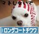 にほんブログ村 犬ブログ ロングコートチワワへ
