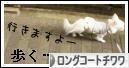 にほんブログ村 犬ブログ ロングコートチワワへ