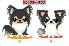 にほんブログ村 犬ブログ ロングコートチワワへ